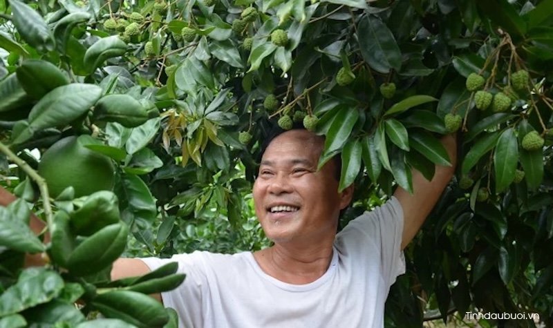 trong buoi xen canh cay gi