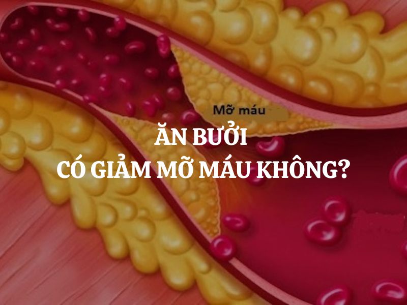 Ăn bưởi có giảm mỡ máu không? Giải đáp chi tiết và cách dùng hiệu quả