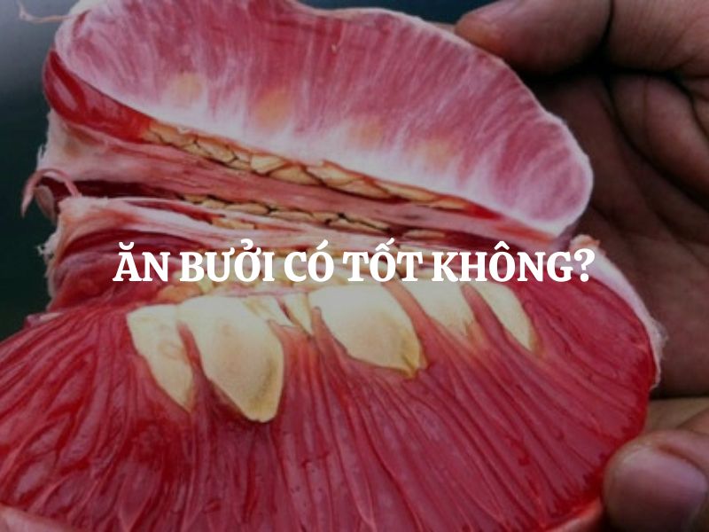 Ăn bưởi có tốt không? Cách ăn bưởi đúng cách giúp tối ưu lợi ích cho sức khỏe