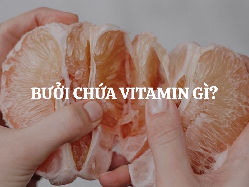 Bưởi chứa vitamin gì? Khám phá giá trị dinh dưỡng và lợi ích tuyệt vời cho sức khỏe