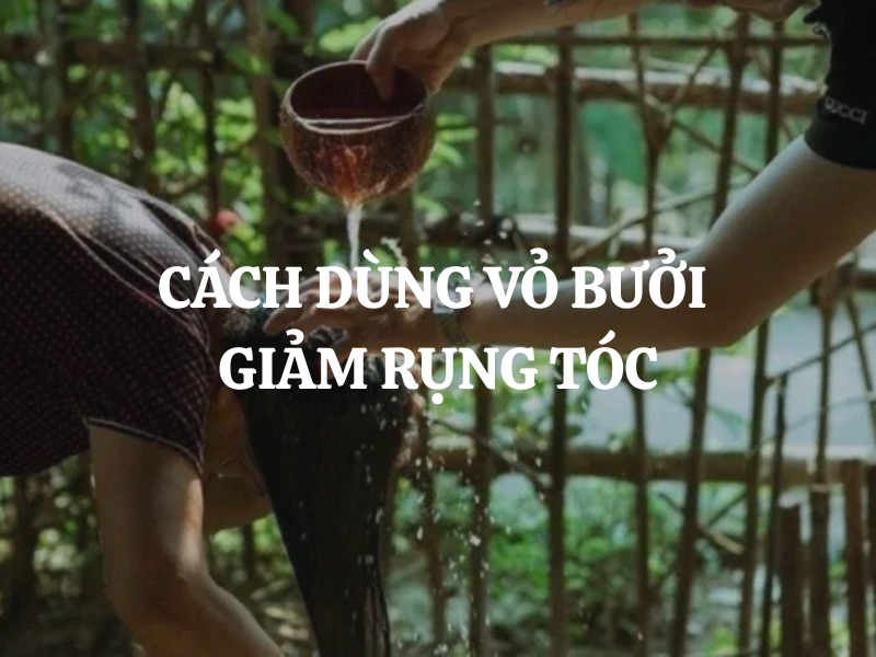 Cách dùng vỏ bưởi giảm rụng tóc hiệu quả ngay tại nhà Cách dùng vỏ bưởi giảm rụng tóc hiệu quả ngay tại nhà
