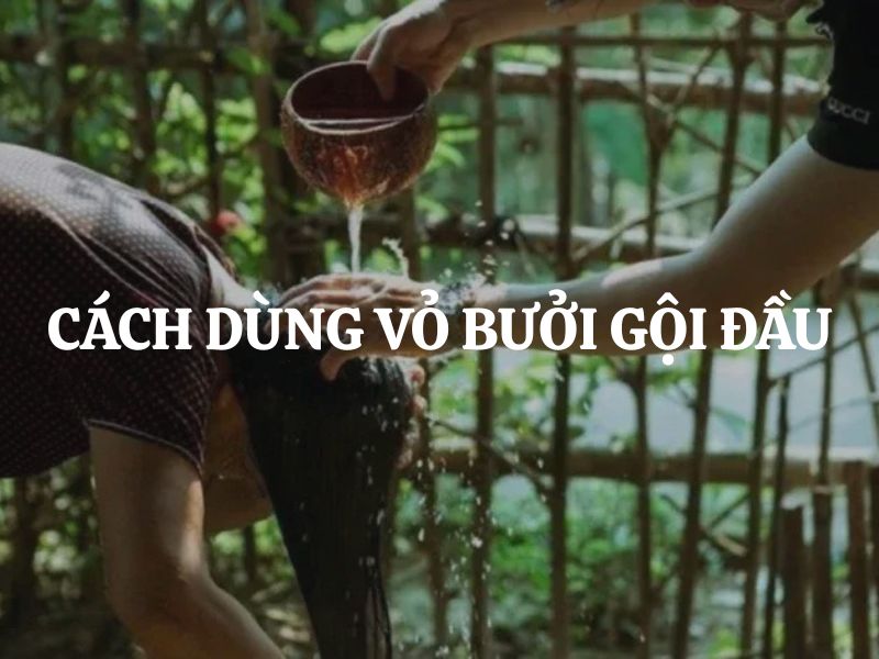 Cách dùng vỏ bưởi gội đầu giúp giảm rụng tóc và kích thích mọc tóc hiệu quả Cách dùng vỏ bưởi gội đầu giúp giảm rụng tóc và kích thích mọc tóc hiệu quả