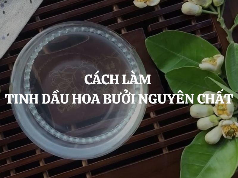 Cách làm tinh dầu hoa bưởi nguyên chất thơm ngát tại nhà