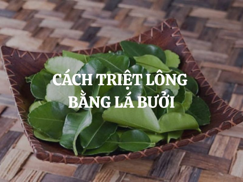 Cách triệt lông bằng lá bưởi an toàn tại nhà và những điều cần biết Cách triệt lông bằng lá bưởi an toàn tại nhà và những điều cần biết