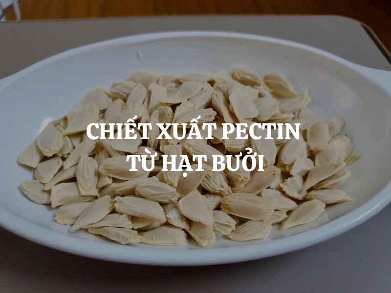 Chiết xuất pectin từ hạt bưởi: Cách làm, công dụng và ứng dụng trong hỗ trợ sức khỏe