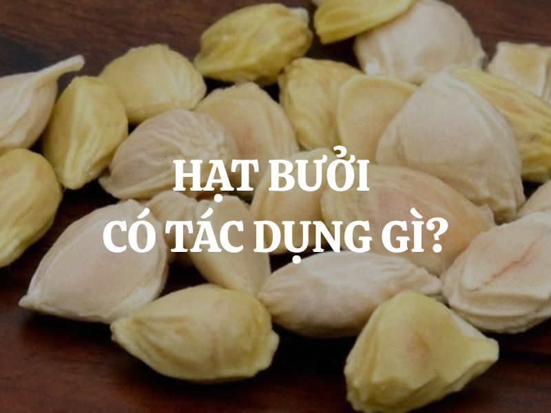 Hạt bưởi có tác dụng gì và cách sử dụng hiệu quả cho sức khỏe