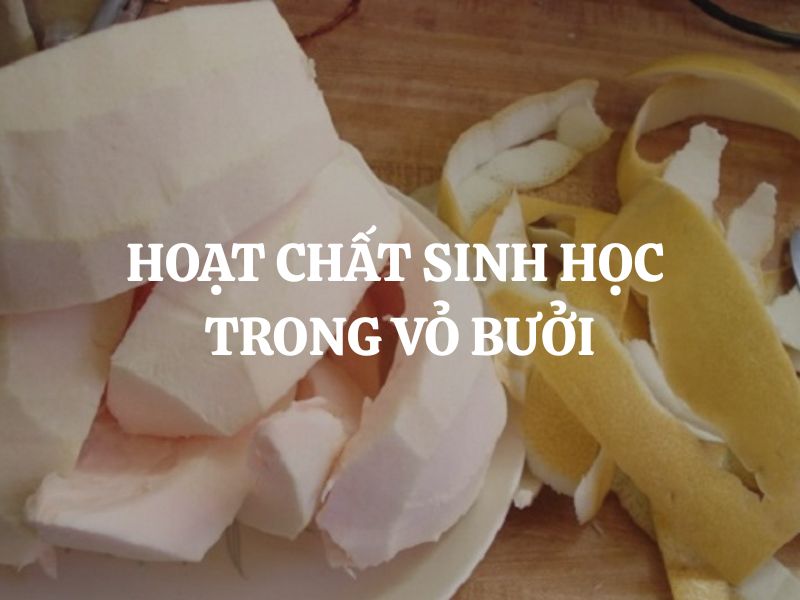 Hoạt chất sinh học trong vỏ bưởi và giá trị đối với sức khỏe, làm đẹp Hoạt chất sinh học trong vỏ bưởi và giá trị đối với sức khỏe, làm đẹp