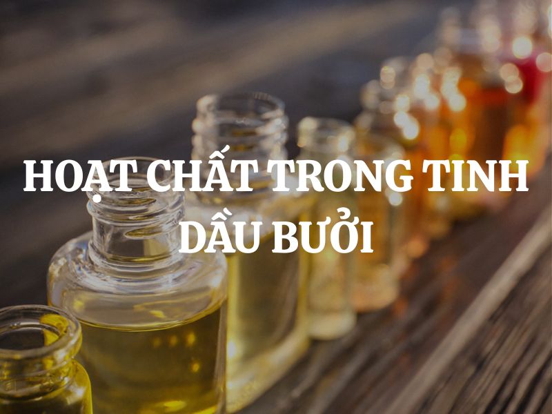 Hoạt chất trong tinh dầu bưởi và giá trị ứng dụng đối với sức khỏe