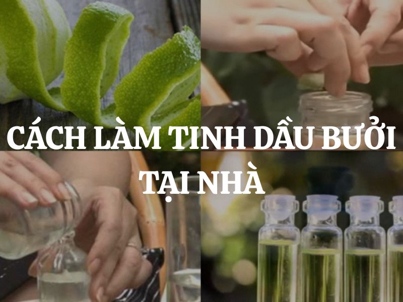 Hướng dẫn cách làm tinh dầu bưởi tại nhà cực đơn giản, ai cũng làm được