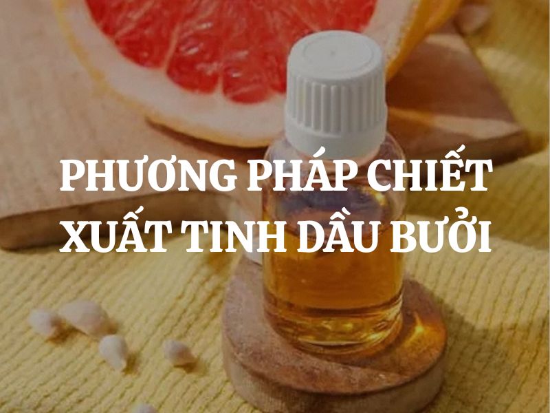 Hướng dẫn cụ thể 5 phương pháp chiết xuất tinh dầu bưởi dễ làm nhất