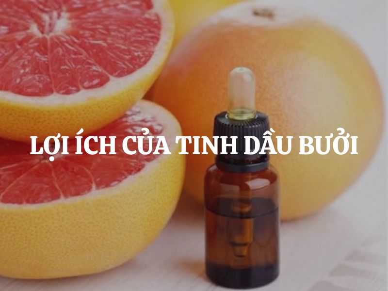 Lợi ich của tinh dầu bưởi đối với sức khỏe và làm đẹp là gì? Lợi ich của tinh dầu bưởi đối với sức khỏe và làm đẹp là gì?