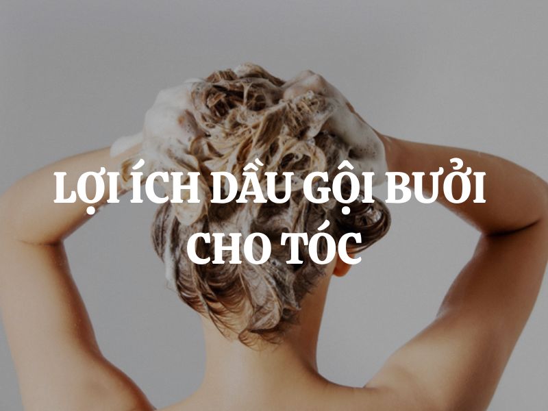Lợi ích dầu gội bưởi cho tóc và lý do bạn nên lựa chọn sản phẩm thiên nhiên