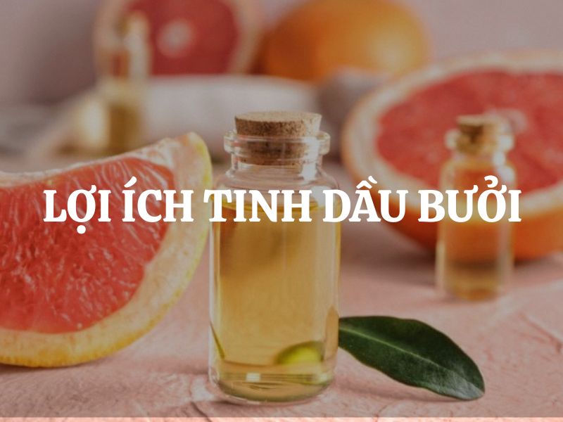 Lợi ích tinh dầu bưởi - Bí quyết chăm sóc sức khỏe, sắc đẹp từ thiên nhiên