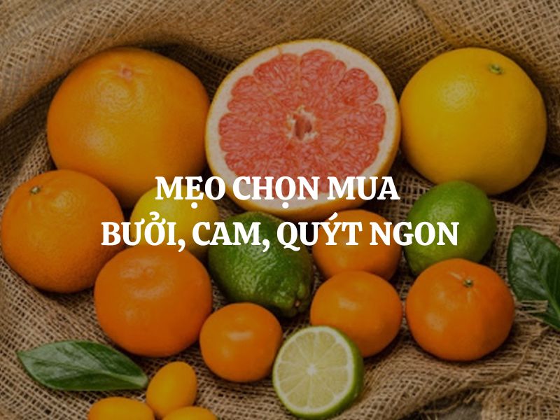 Mẹo chọn mua bưởi, cam, quýt ngon và mọng nước đơn giản chỉ với vài đặc điểm