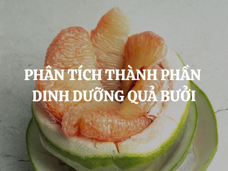 Phân tích thành phần dinh dưỡng quả bưởi và những lợi ích nổi bật cho sức khỏe Phân tích thành phần dinh dưỡng quả bưởi và những lợi ích nổi bật cho sức khỏe