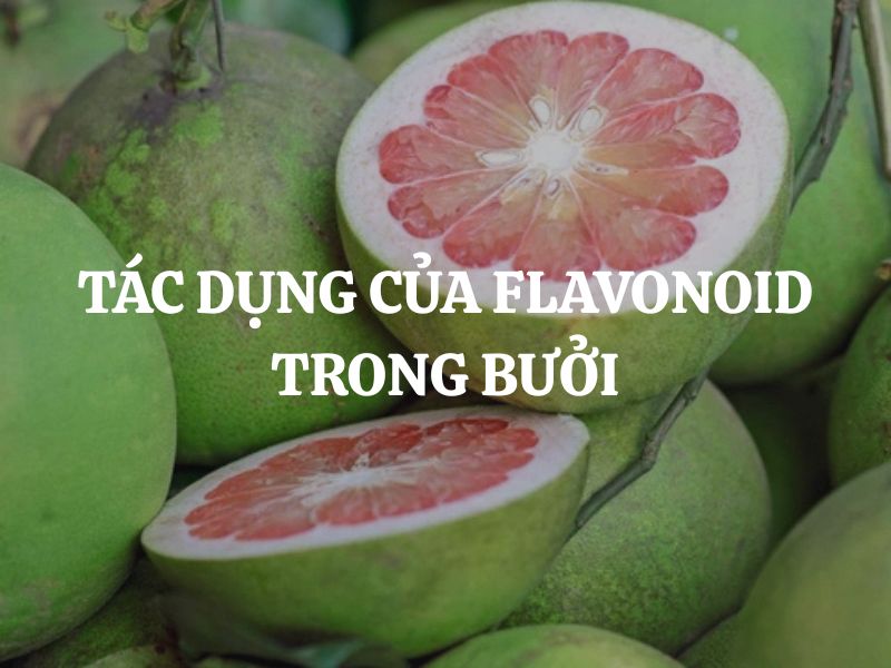 Tác dụng của flavonoid trong bưởi đối với sức khỏe và làm đẹp