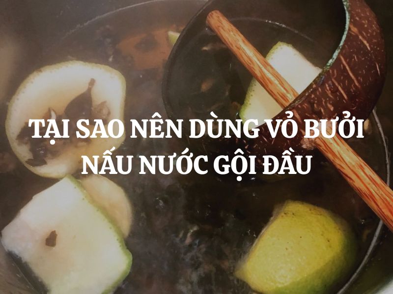 Tại sao nên dùng vỏ bưởi nấu nước gội đầu? Bí quyết giúp tóc chắc khỏe, giảm gãy rụng tự nhiên