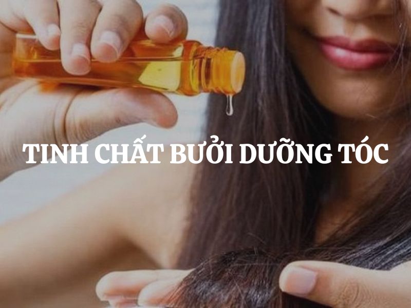 Tinh chất bưởi dưỡng tóc có thực sự hiệu quả không? Cách dùng đúng để tóc nhanh chắc khỏe