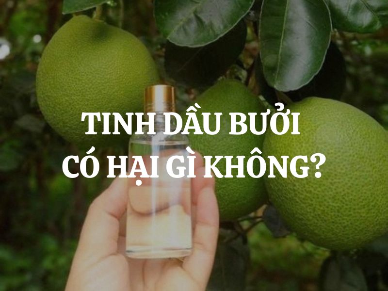 Tinh dầu bưởi có hại gì không? Hiểu đúng để sử dụng an toàn