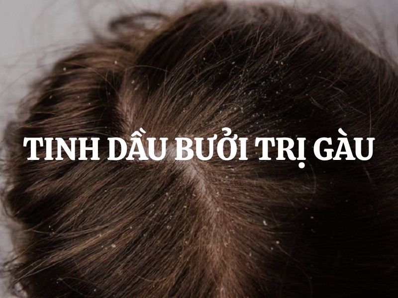 Tinh dầu bưởi trị gàu qua cơ chế nào? Cách sử dụng tinh dầu bưởi trị gàu hiệu quả