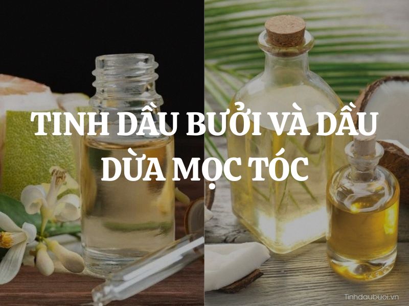 Tinh dầu bưởi và dầu dừa mọc tóc: Bộ đôi hoàn hảo cho mái tóc suôn dài, chắc khỏe