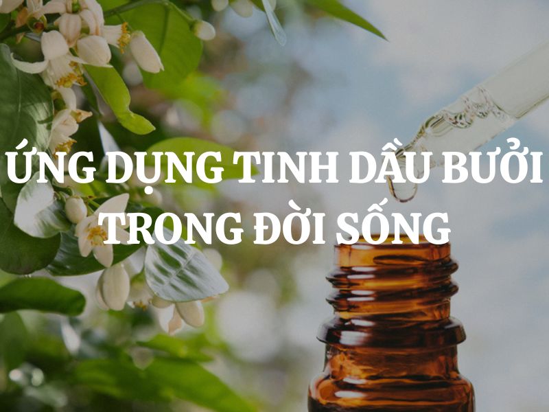 Ứng dụng tinh dầu bưởi trong đời sống và làm đẹp tự nhiên