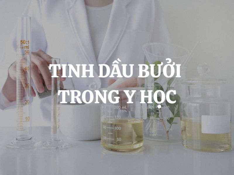 Vai trò của tinh dầu bưởi trong y học và giá trị ứng dụng thực tiễn